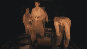 giphy (6)