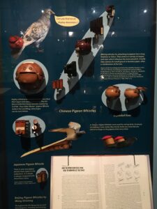 Pigeon whistles from the Pitt Rivers Museum collection