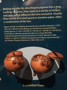 Pigeon whistles from the Pitt Rivers Museum collection