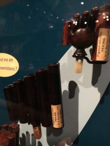 Pigeon whistles from the Pitt Rivers Museum collection