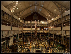 Pitt Rivers Museum interior