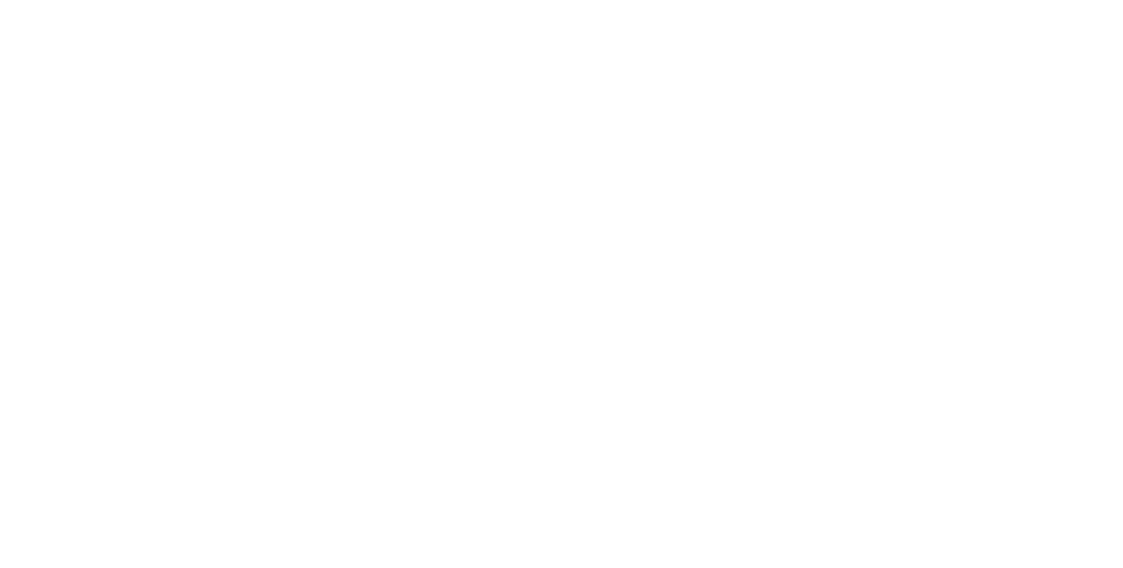 SWN Live logo