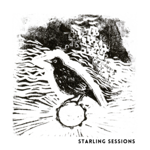 starling t-shirt logo
